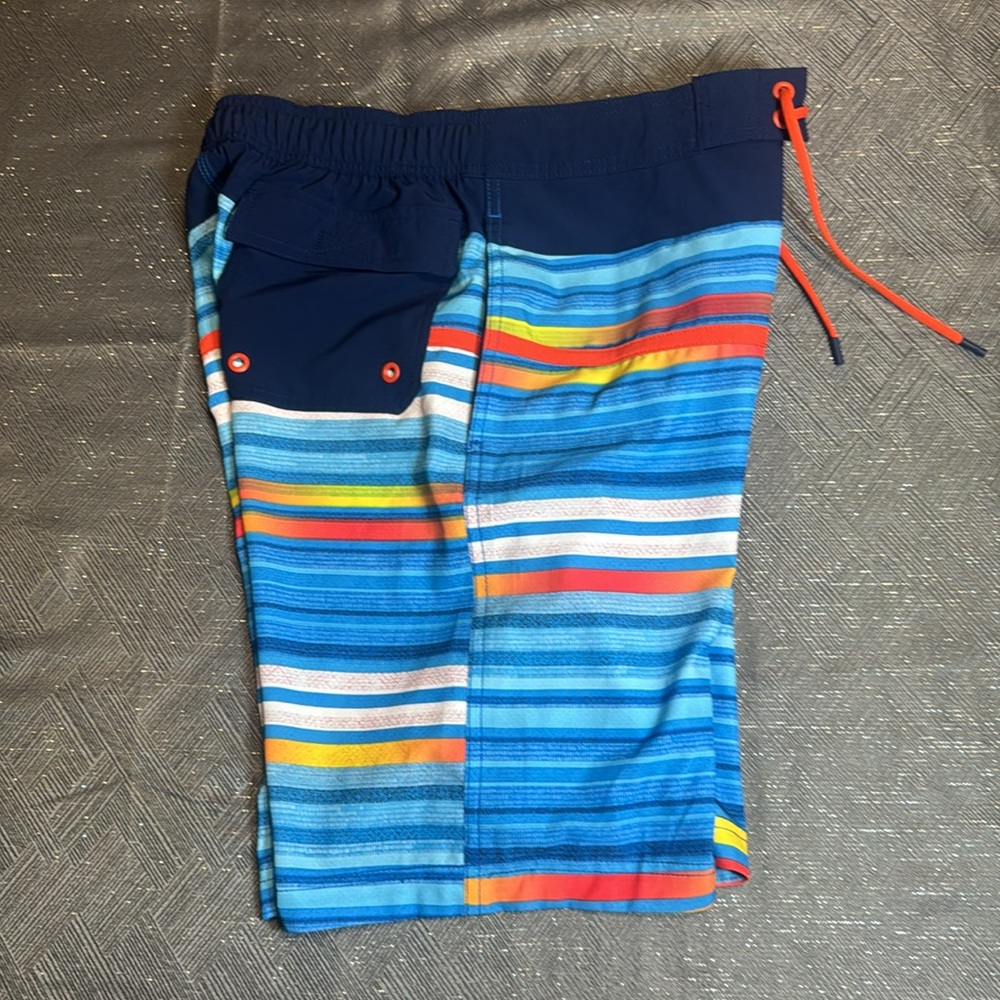 Speedo Multicolor Striped Men’s Swim Board Shorts